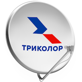 Мастер Триколор Грузино